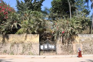 42028 natureimage.JPG