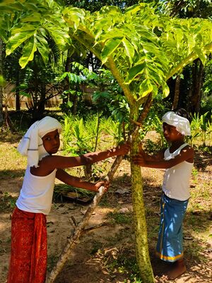 Gups kizhakkethevalakkara6(41342).jpeg