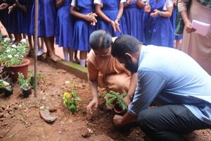 13006 Butterfly garden 104.jpg