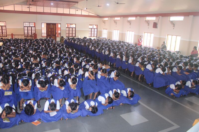 പ്രമാണം:13006 dogs2.JPG