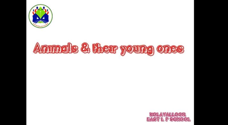 പ്രമാണം:14511 53.jpeg