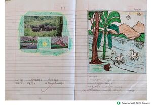 15476-AUPS Kunhome (50).jpg