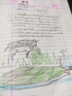 19320-MLP-KUNJ-AIFA FATHIMA E.jpg