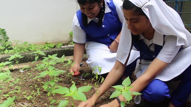 പ്രമാണം:21001 environmental club.png