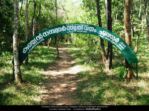 21017 kunjan nambyar samrthy vanam chulanoor.png