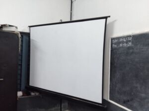 24302 projector.jpeg