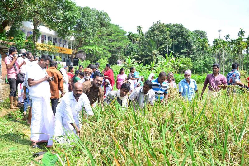 പ്രമാണം:29312 koithulsavam12.jpeg