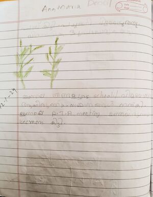 31226-KTM-KUNJ-ANN MARIA DENCIL.jpg