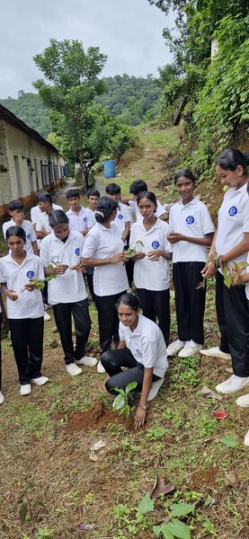 പ്രമാണം:32025 P2.jpg