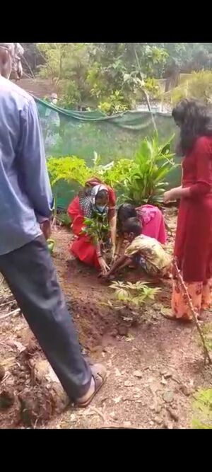 38031 enviorment photo 1.jpg