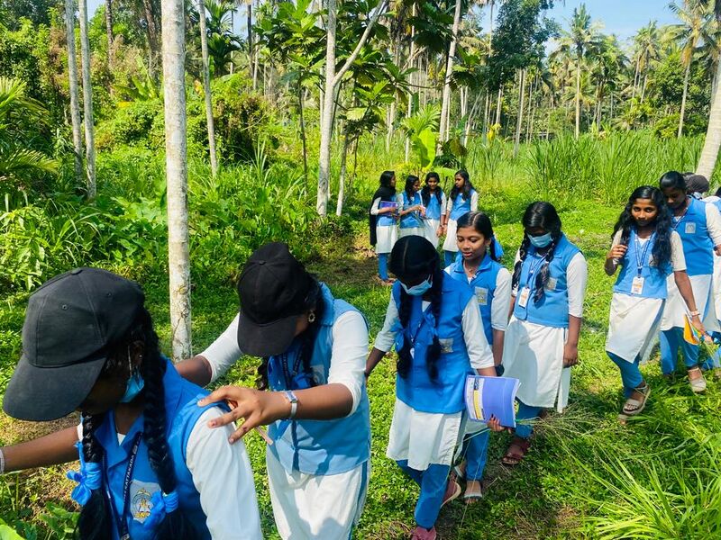 പ്രമാണം:44018 ela 59.jpg