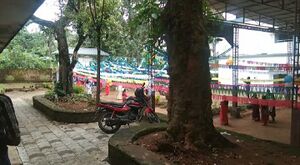 BS21 PKD 20041 2.jpg