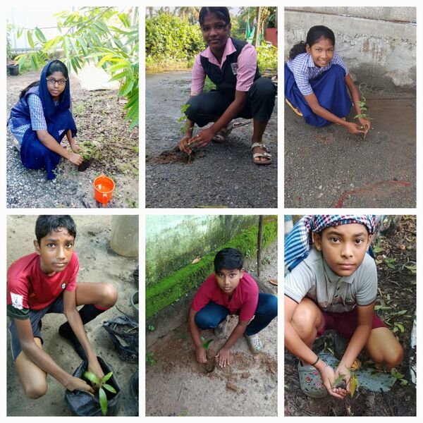 പ്രമാണം:Eco 25 2.jpeg