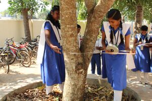 Nallapadam19 35052 2.jpg