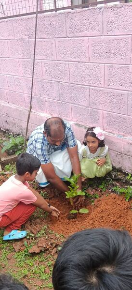 പ്രമാണം:Planting 42630.jpg