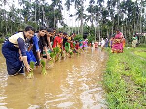 12.7.17nadil ulsavam.jpg