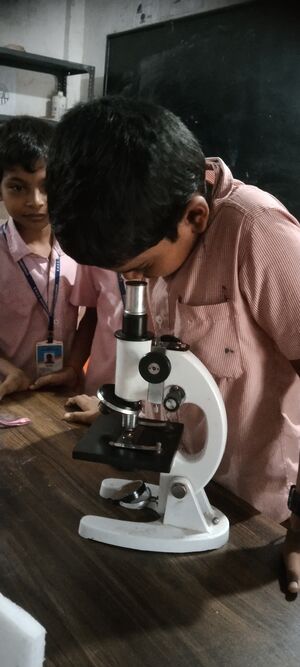 12020 microscope 20240708 154319.jpg