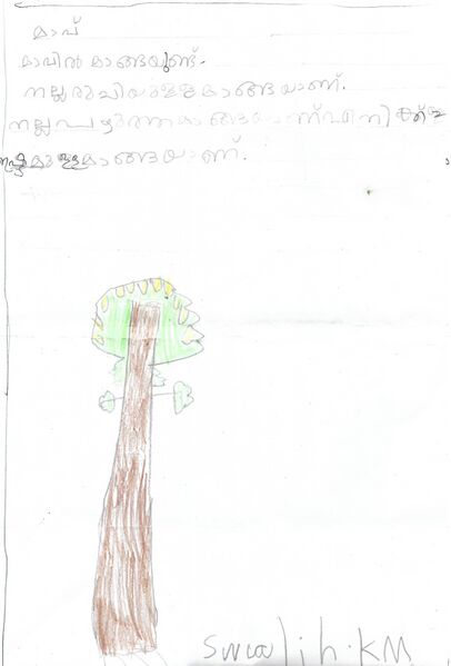 പ്രമാണം:13319-KNR-KUNJ-MUHAMMAD SWALIH K M.jpeg