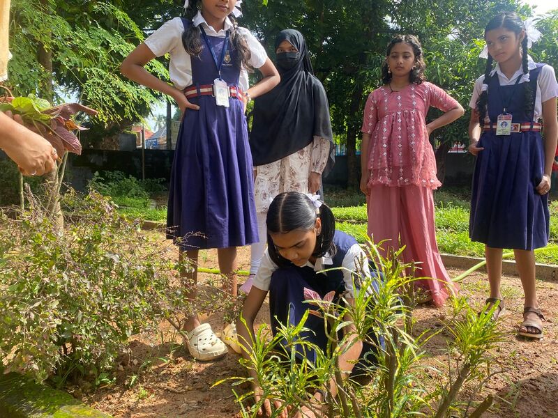 പ്രമാണം:14005- Planting Sapling.jpg