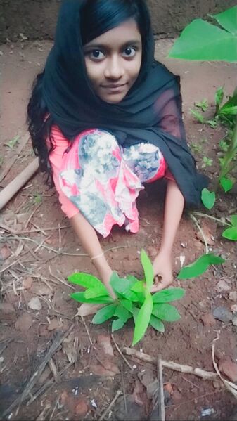 പ്രമാണം:19058 nature1.jpeg