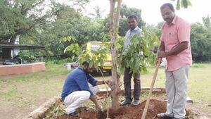 19833 haritham 35.jpg