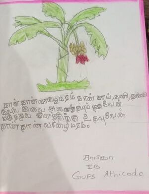 21345-PKD-KUNJ-SABIKA 1.jpeg