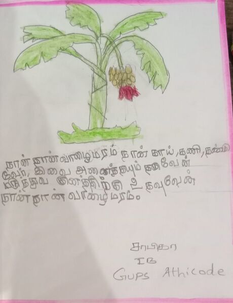 പ്രമാണം:21345-PKD-KUNJ-SABIKA 1.jpeg