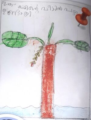 23408-TSR-KUNJ-SARAKSHI K S.jpg