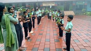 29209 saplings1.jpeg