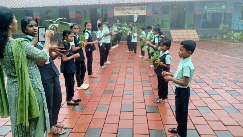 പ്രമാണം:29209 saplings1.jpeg