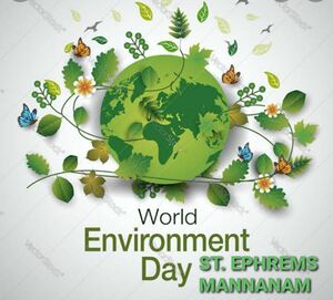 33056 july17 50.jpeg