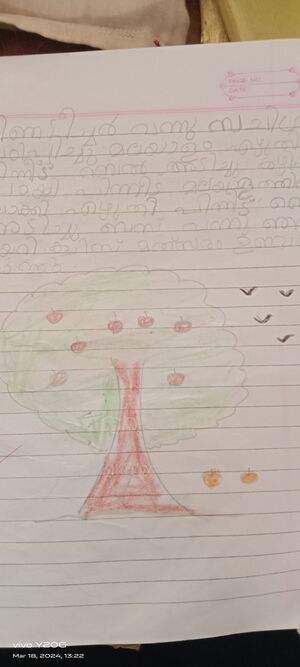 33250-KTM-KUNJ-AKSHARA SATHEESH.jpg