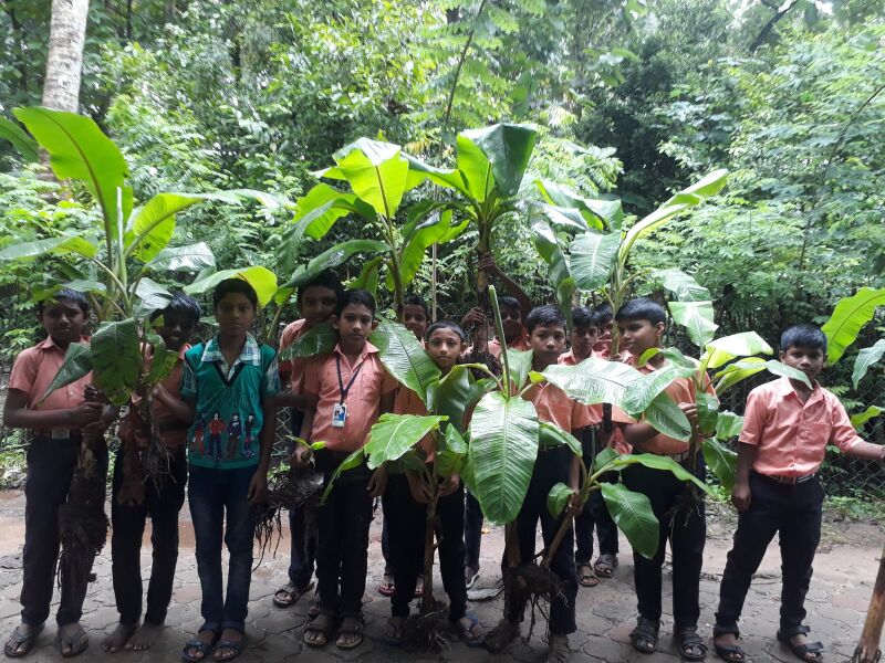 പ്രമാണം:34035 UPLOADS PD6(15).jpeg