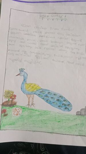 42515-TVM-KUNJ-ARAFA MEHRIN.jpg