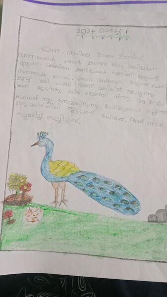 പ്രമാണം:42515-TVM-KUNJ-ARAFA MEHRIN.jpg