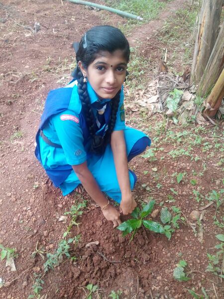 പ്രമാണം:Guides 2021.jpg