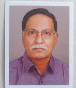 Prof.s.ramanand.jpeg