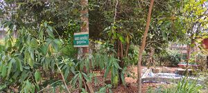 ജൈവവൈവിധ്യ പാർക്ക്