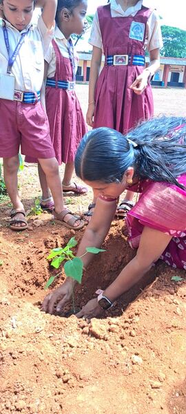 പ്രമാണം:11411-KGD-environment day.jpeg