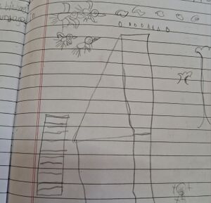 11442-KGD-KUNJ-SINAN MUHAMMAD.jpg