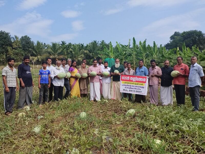പ്രമാണം:18057 watermelon cultivation.JPG