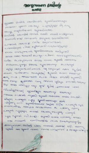 18331-MLP-KUNJ-ILFA SHERIN.jpeg