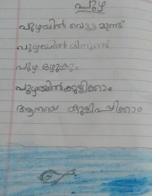 18753-MLP-KUNJ-HANFA P.jpeg