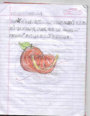 19222-MLP-KUNJ-Daksha Vijeesh.jpg