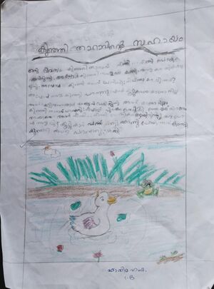 19856-MLP-KUNJ-P Hamda.jpeg