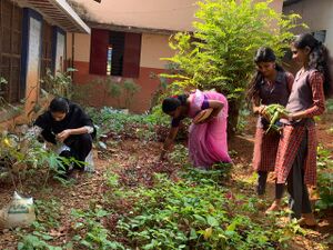 21017- pachakkarithottam vilaveduppu(1).jpg