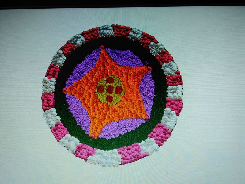 പ്രമാണം:23013 pookkalam 1st place.jpeg