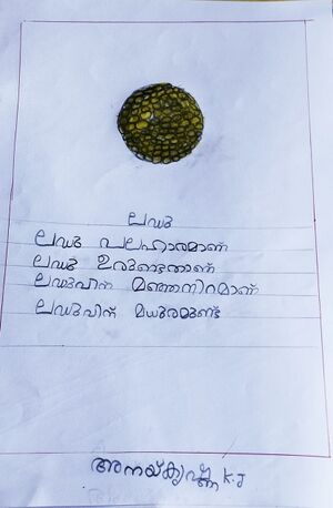 23506-TSR-ANAIKRISHNA K J.jpeg