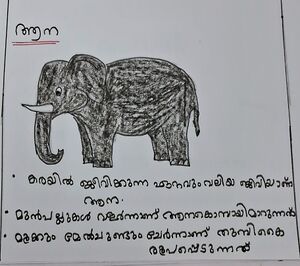 32238-KTM-KUNJ-SHEHFA BATHOOL-.jpg