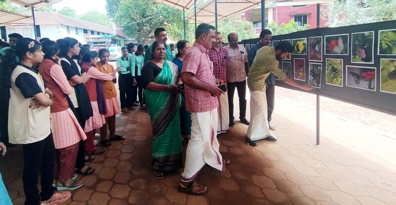 പ്രമാണം:36035 c253.jpeg